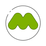 MainWP Matomo Extension